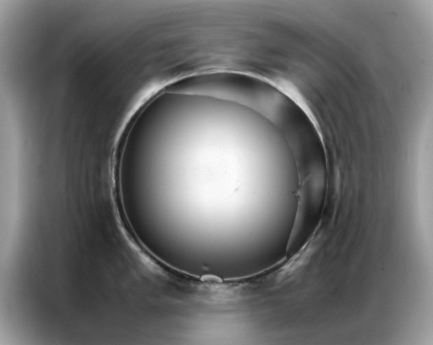 X0000086791005200704271826