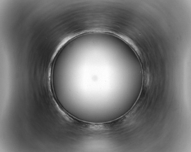 X0000086791006200704271826