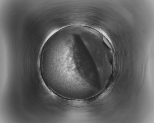 X0000086791007200704271826