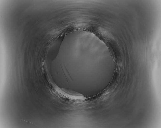 X0000086791010200704271826