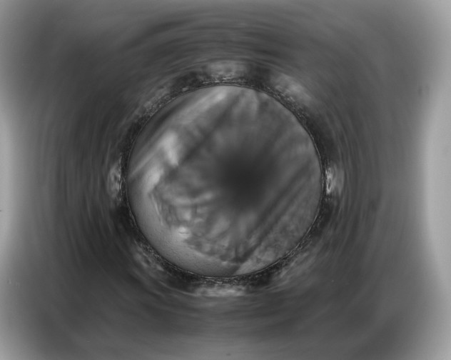 X0000086791011200704271826