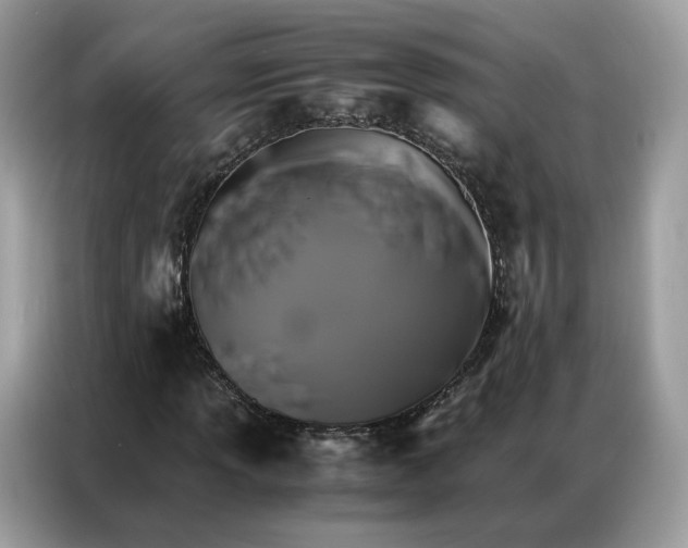 X0000086791013200704271826
