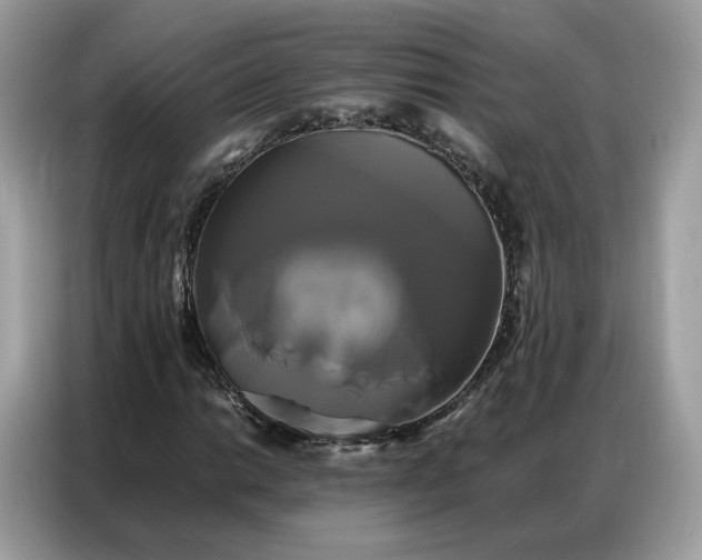 X0000086791014200704271826