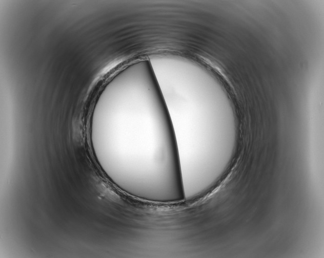 X0000086791018200704271826