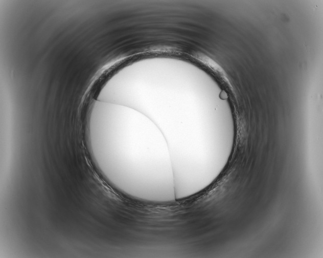 X0000086791019200704271826