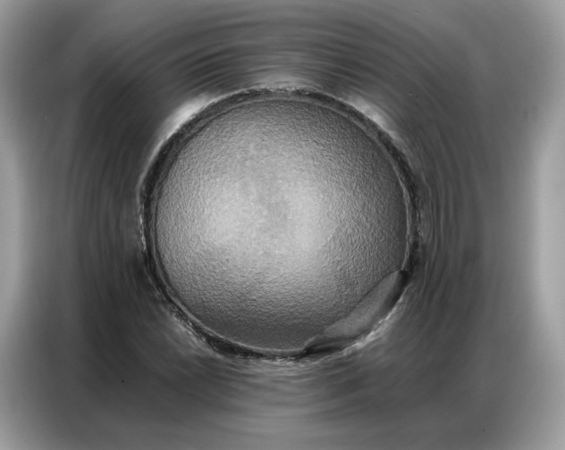 X0000086791022200704271826
