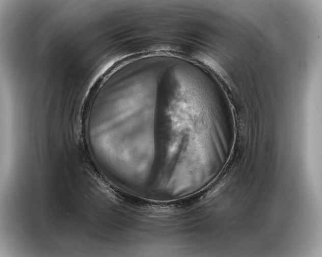 X0000086791023200704271826