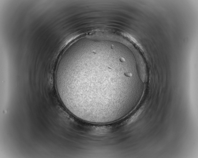 X0000086791025200704271826