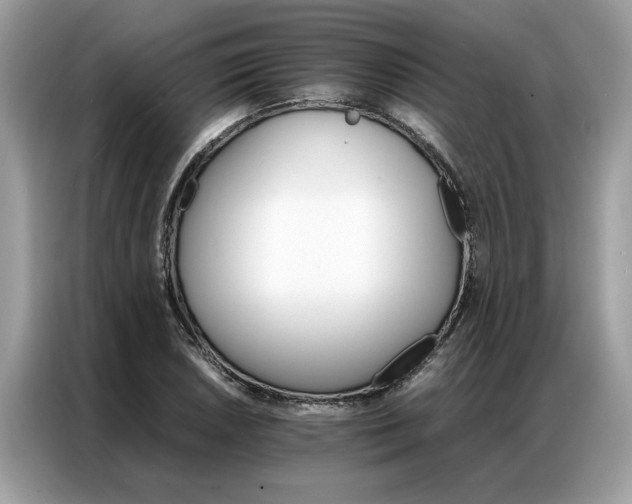 X0000086791026200704271826