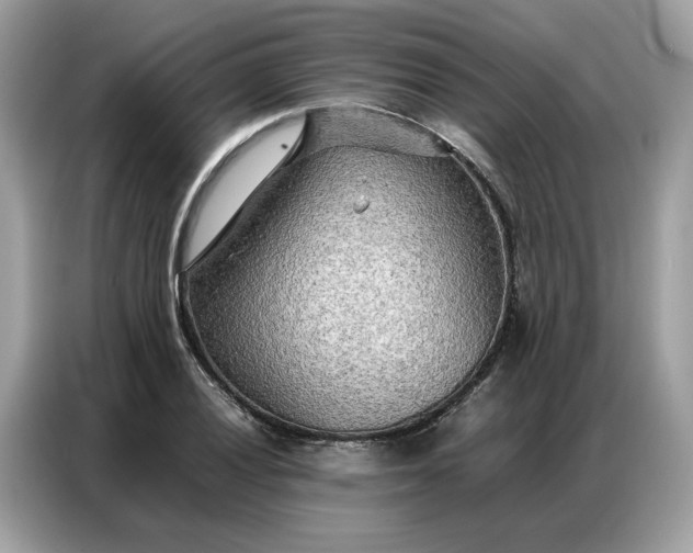 X0000086791028200704271826