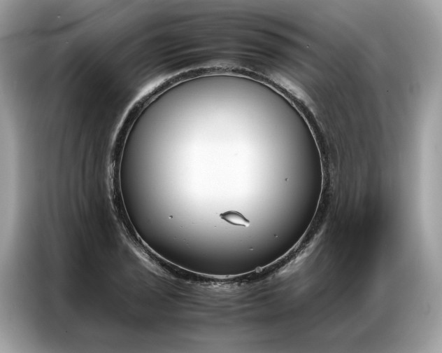 X0000086791029200704271826