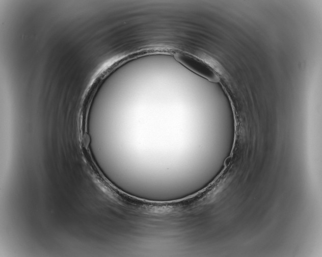 X0000086791030200704271826