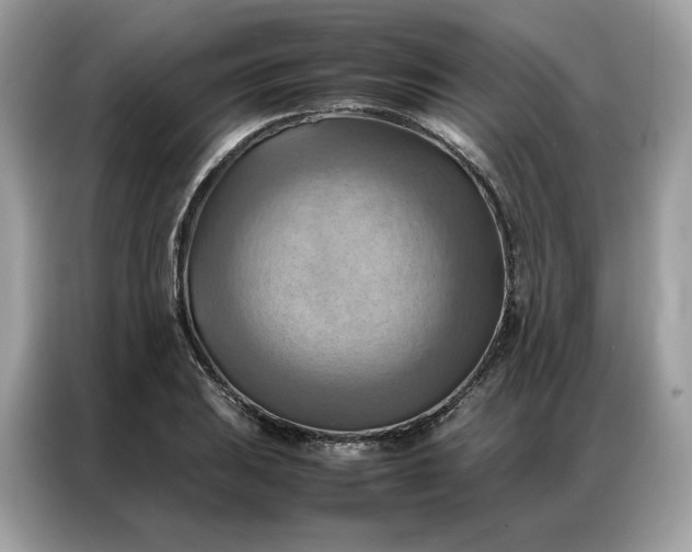 X0000086791031200704271826