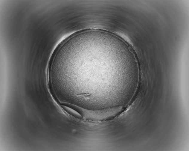 X0000086791032200704271826