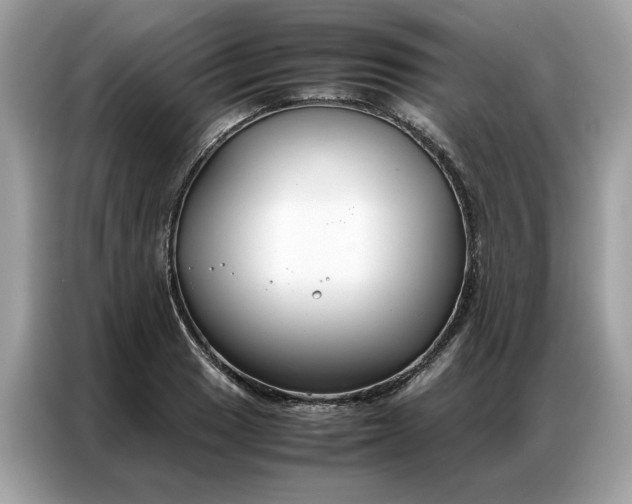 X0000086791033200704271826