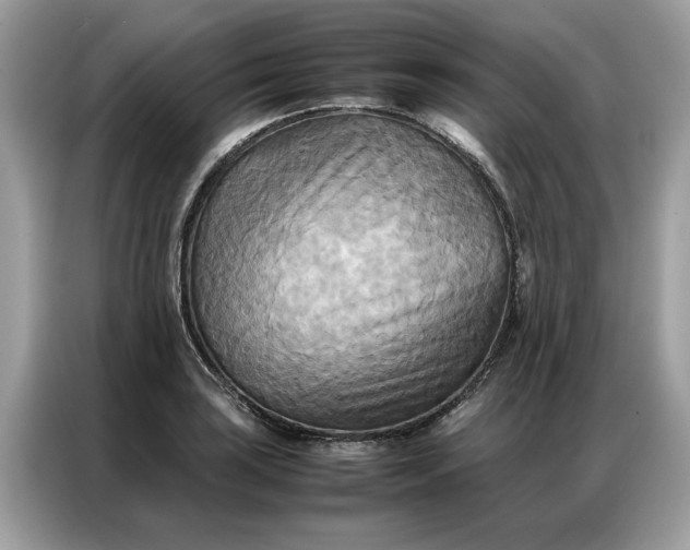 X0000086791035200704271826