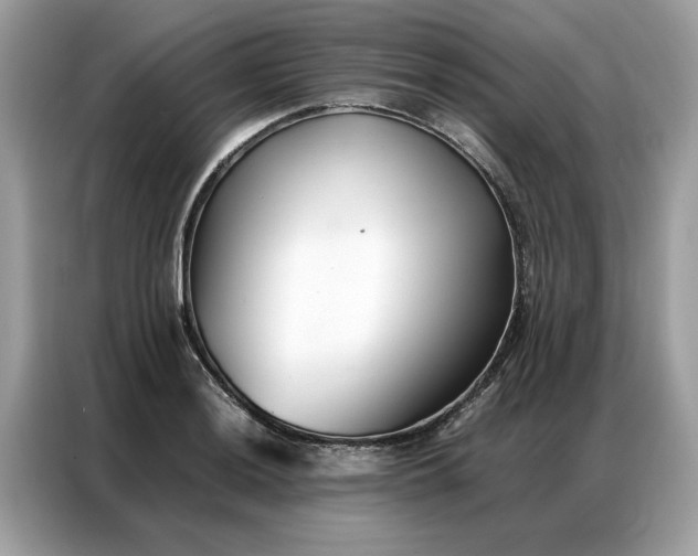 X0000086791036200704271826