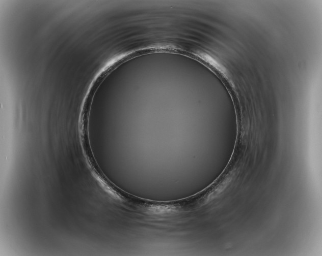 X0000086791037200704271826