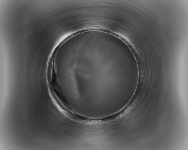 X0000086791038200704271826