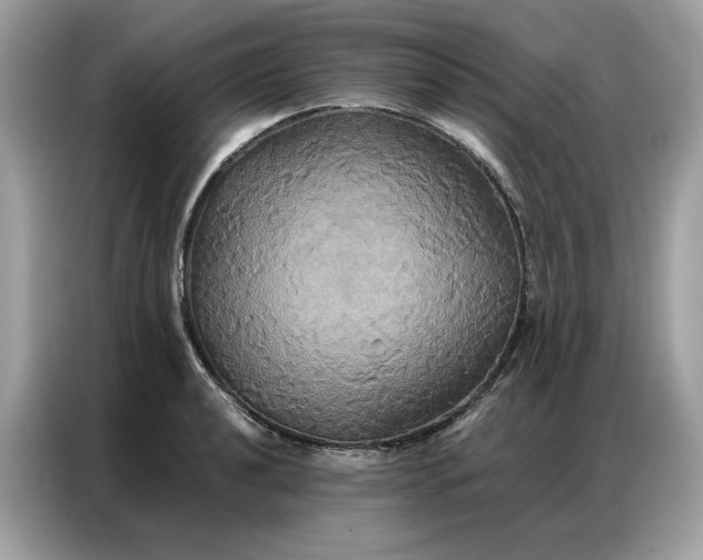 X0000086791040200704271826