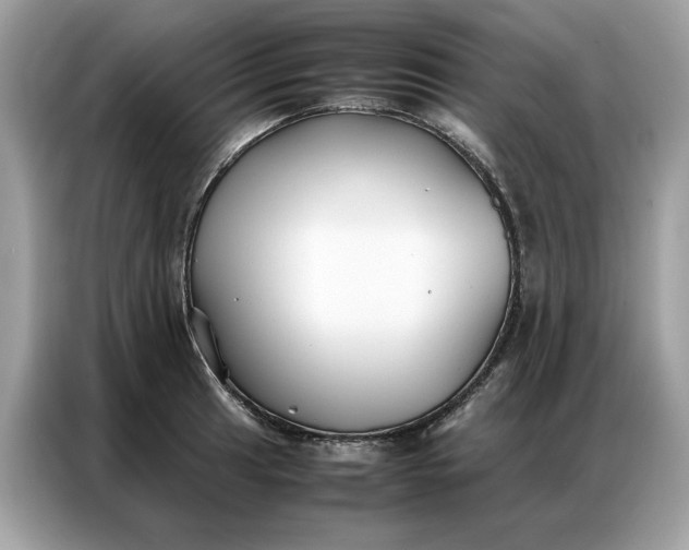 X0000086791041200704271826