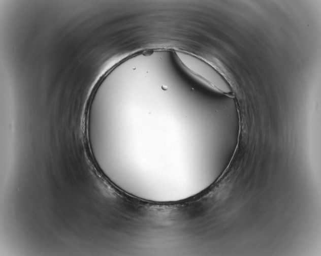 X0000086791044200704271826