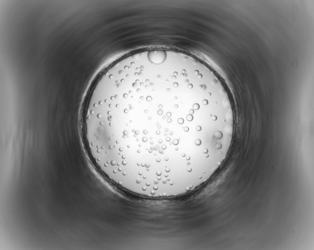 X0000086791045200704271826