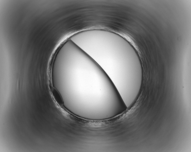 X0000086791046200704271826