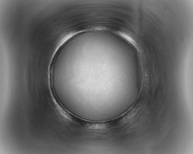 X0000086791047200704271826