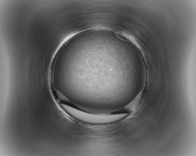 X0000086791048200704271826