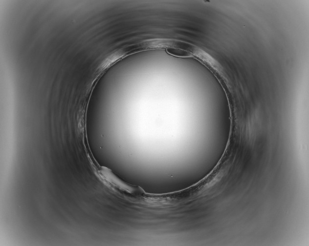 X0000086791049200704271826
