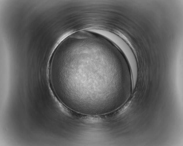 X0000086791050200704271826
