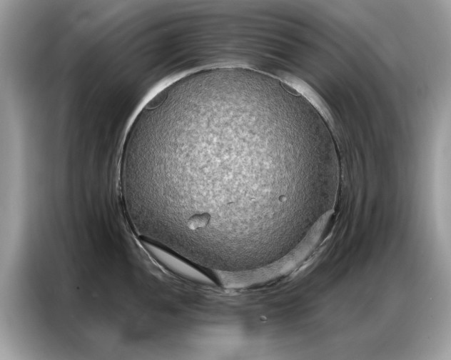 X0000086791052200704271826