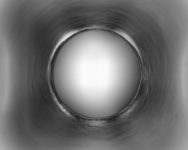 X0000086791053200704271826