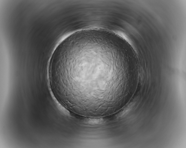 X0000086791055200704271826