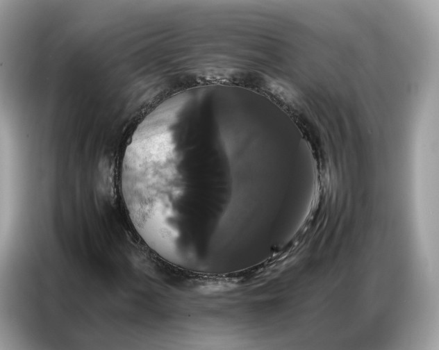 X0000086791060200704271826