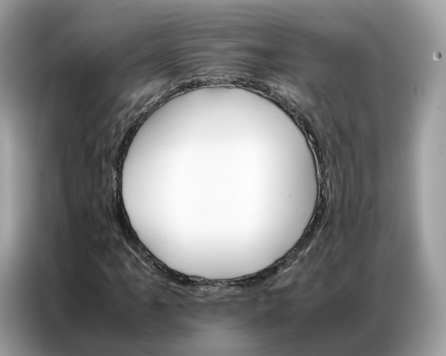 X0000086791061200704271826