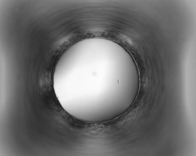 X0000086791062200704271826
