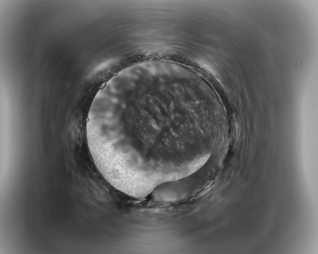 X0000086791063200704271826