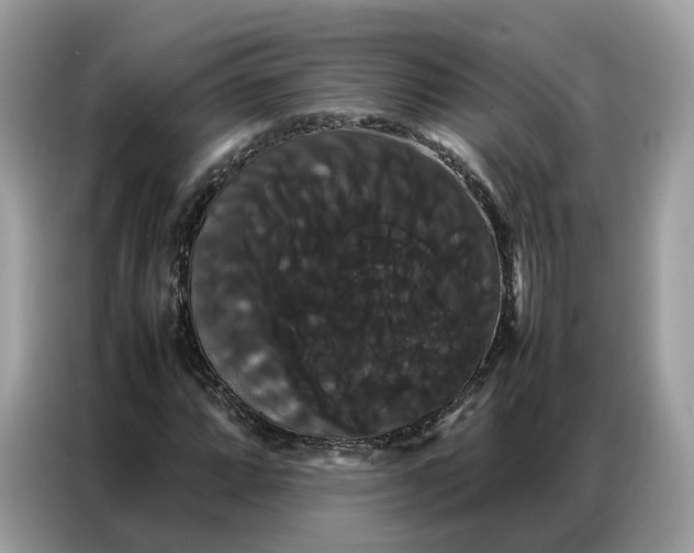 X0000086791064200704271826