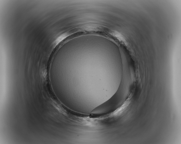 X0000086791065200704271826