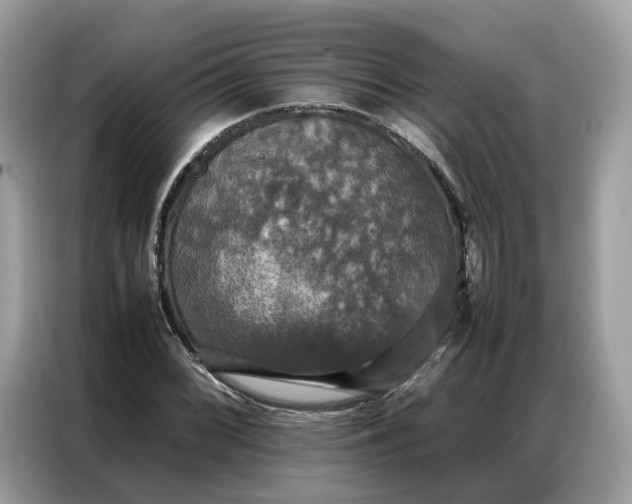 X0000086791068200704271826