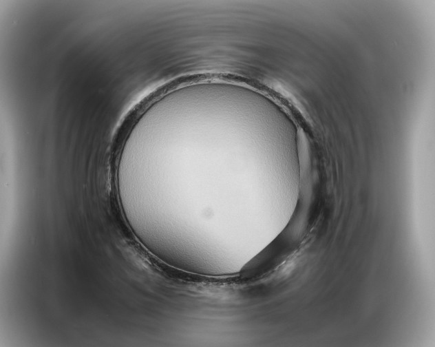X0000086791069200704271826