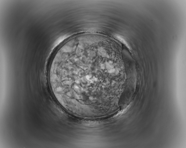 X0000086791071200704271826
