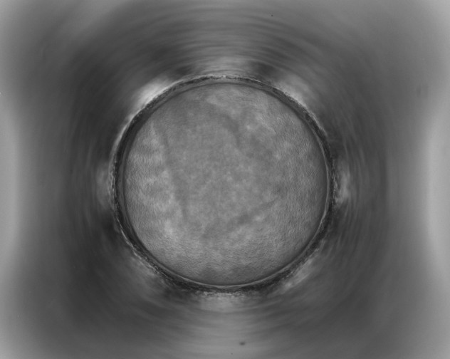 X0000086791074200704271826