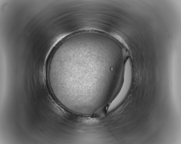 X0000086791076200704271825