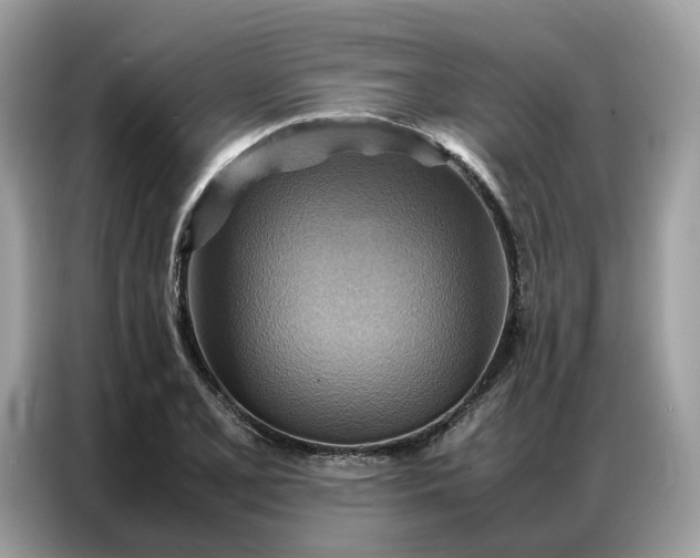 X0000086791077200704271825