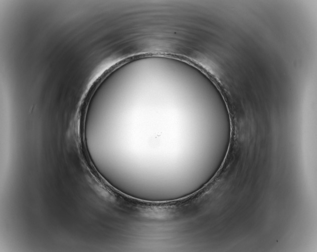 X0000086791078200704271825