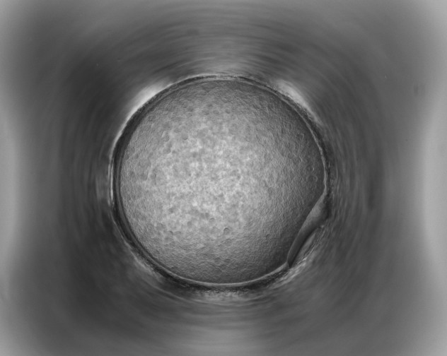X0000086791079200704271825