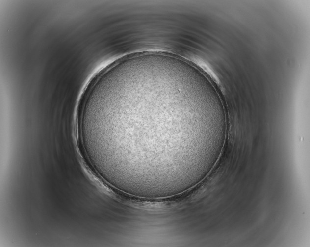 X0000086791080200704271825